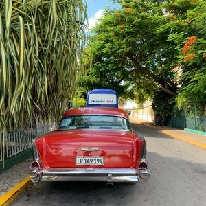 Meet your Posher, Cedra